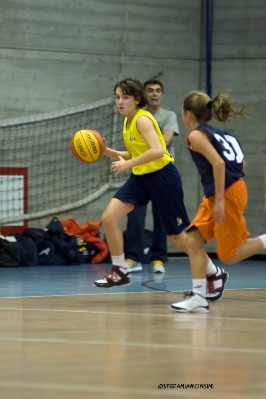 _STE3757.jpg