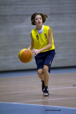_STE3811.jpg