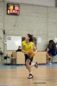 _STE3704.jpg