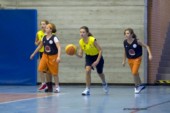 _STE3739.jpg