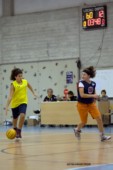 _STE3779.jpg