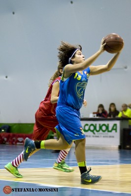 STE_0412.jpg