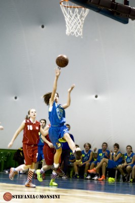 STE_0425.jpg
