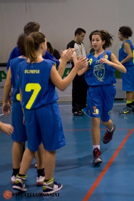 STE_0369.jpg