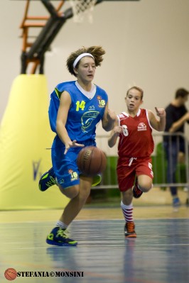 STE_0472.jpg