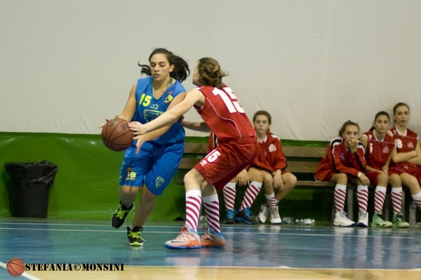 STE_0488.jpg