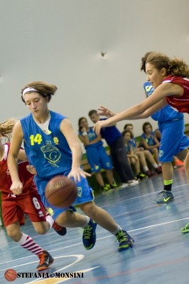 STE_0494.jpg