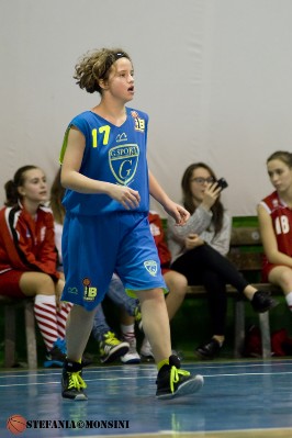 STE_0578.jpg
