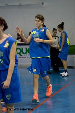 STE_0375.jpg