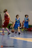 STE_0417.jpg
