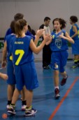 STE_0369.jpg