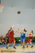 STE_0552.jpg