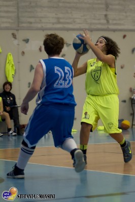 STE_0673.jpg